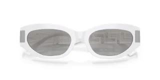 Versace Sunglasses VE4501
