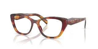 22A1O1 Poppy Tortoise