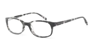 Black Tortoise