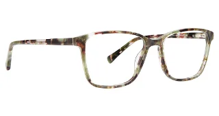 Green Tortoise