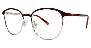 Daisy Fuentes Eyeglasses Gessica