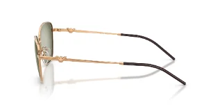 Emporio Armani Sunglasses EA2170