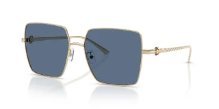 334680 Shiny Light Gold
