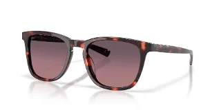 200224 Sunset Tortoise