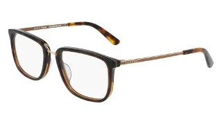 215 Tortoise