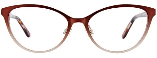 Easyclip Eyeglasses EC498