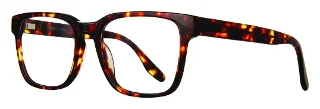 Brooklyn Heights Eyeglasses Wells