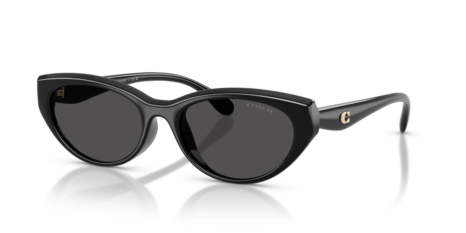 Coach Sunglasses HC8456D