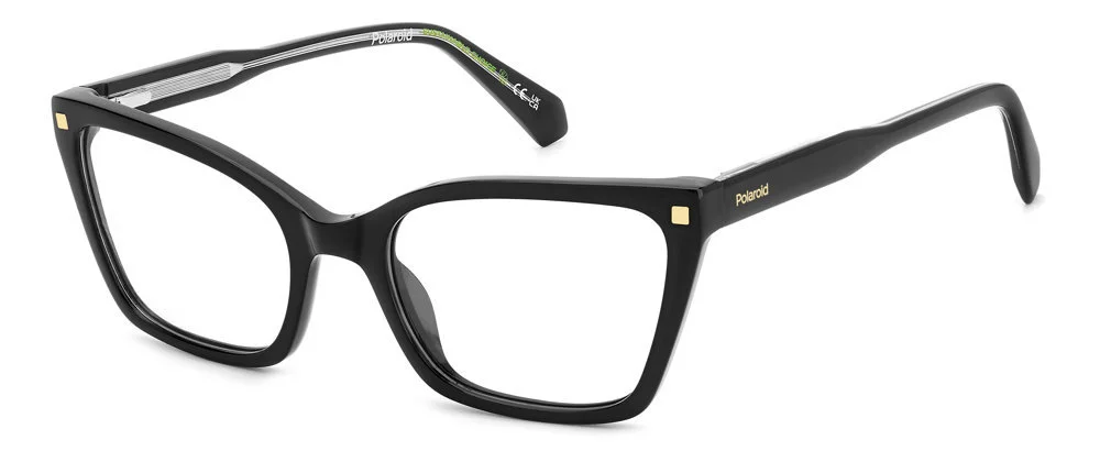 Polaroid Eyeglasses PLD D520