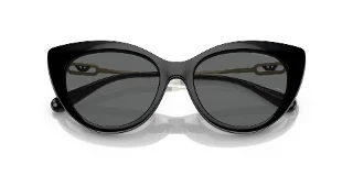 Emporio Armani Sunglasses EA4213U