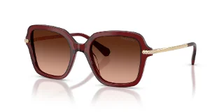10735M Transparent Burgundy