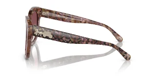 Coach Sunglasses HC8264
