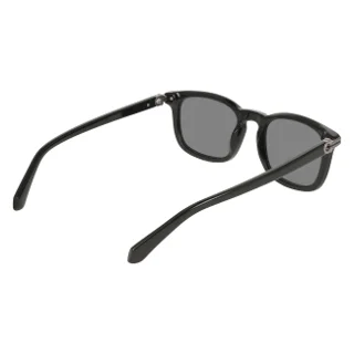Salvatore Ferragamo Sunglasses SF2120S