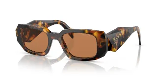 VAU2Z1 Honey Tortoise