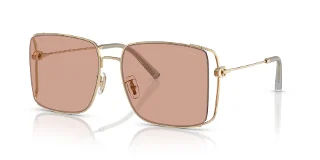 900584 Shiny Light Gold