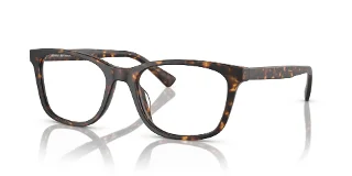 6161 Dark Tortoise