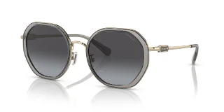 90058G Transparent Grey / Shiny Light