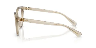 Swarovski Eyeglasses SK2052