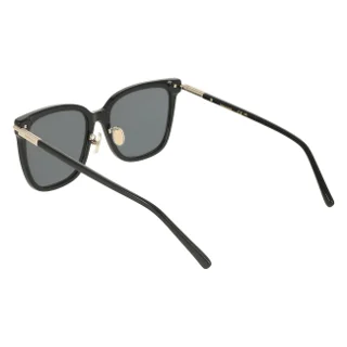 Salvatore Ferragamo Sunglasses SF2037SLB