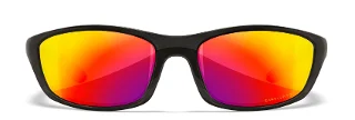 Wiley X Sunglasses P-17