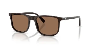 645273 Shiny Brown