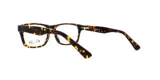 Eight to Eighty Eyeglasses Dennis