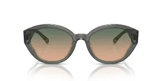 Coach Sunglasses HC8364U