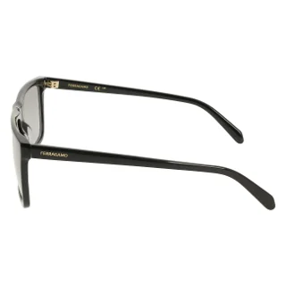 Salvatore Ferragamo Sunglasses SF2123S