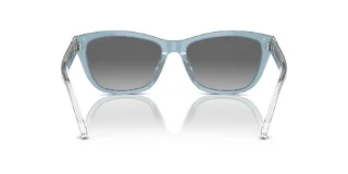 Emporio Armani Sunglasses EA4227U