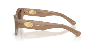 Burberry Sunglasses BE4502