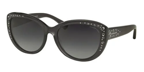 Coach Sunglasses HC8162