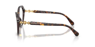 Swarovski Eyeglasses SK2054F