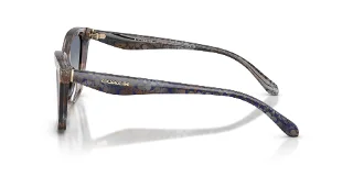 Coach Sunglasses HC8464U