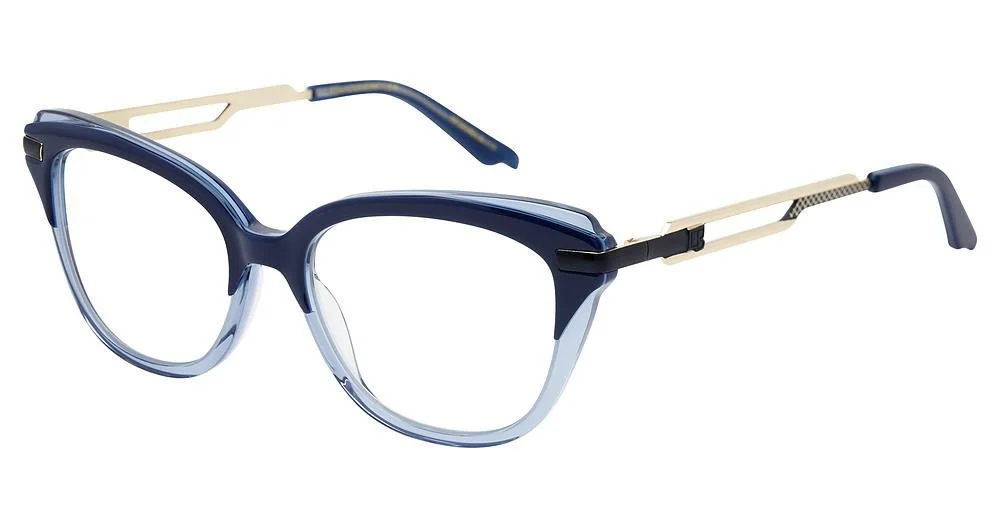 Alan J Eyeglasses C&B Companion