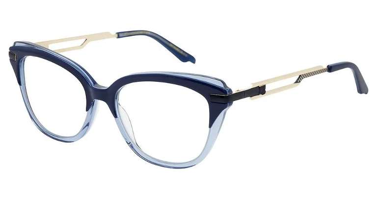 Alan J Eyeglasses C&B Companion