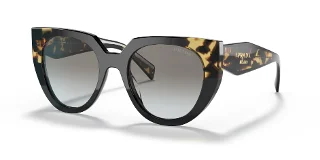 3890A7 Black/Medium Tortoise