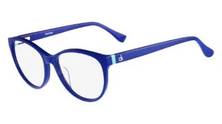 Calvin Klein Platinum Eyeglasses CK5870