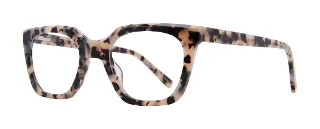 Tokyo Tortoise