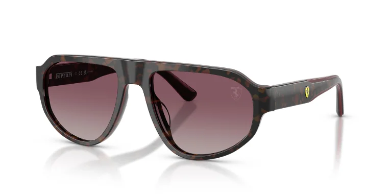 Ferrari Scuderia Sunglasses FZ6027U