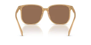 Coach Sunglasses HC8413BD