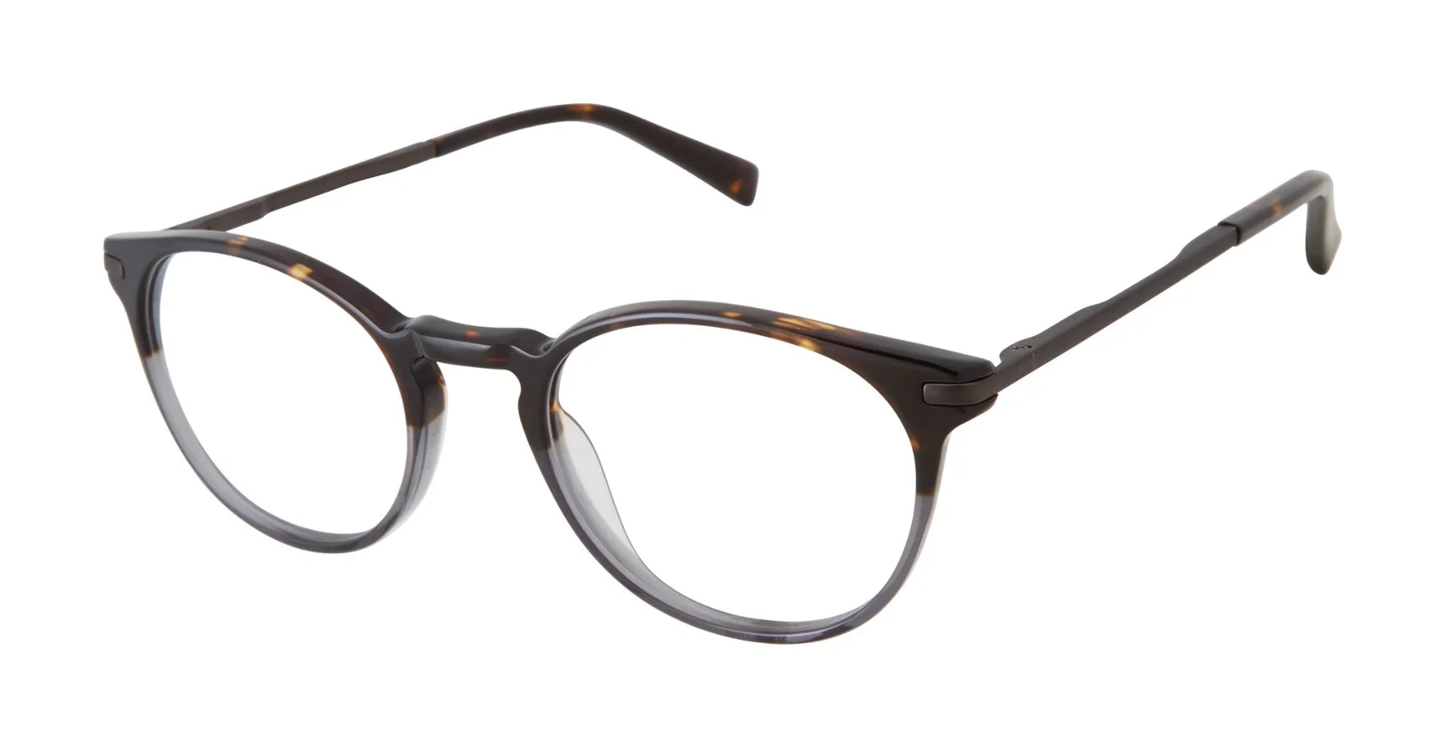 Ted Baker Eyeglasses TFM006