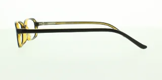 Polo Eyeglasses PP8502