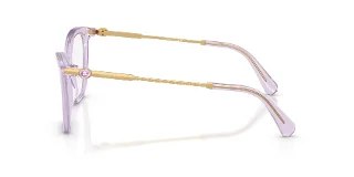 Swarovski Eyeglasses SK2051