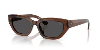 411687 Brown