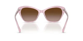 Ralph Sunglasses RA5337U