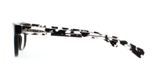 Coach Eyeglasses HC6081