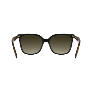 Longchamp Sunglasses LO807S
