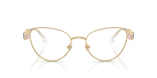 Swarovski Eyeglasses SK1024