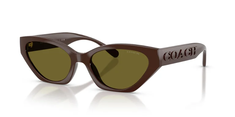 Coach Sunglasses HC8459U