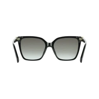 Salvatore Ferragamo Sunglasses SF2121S